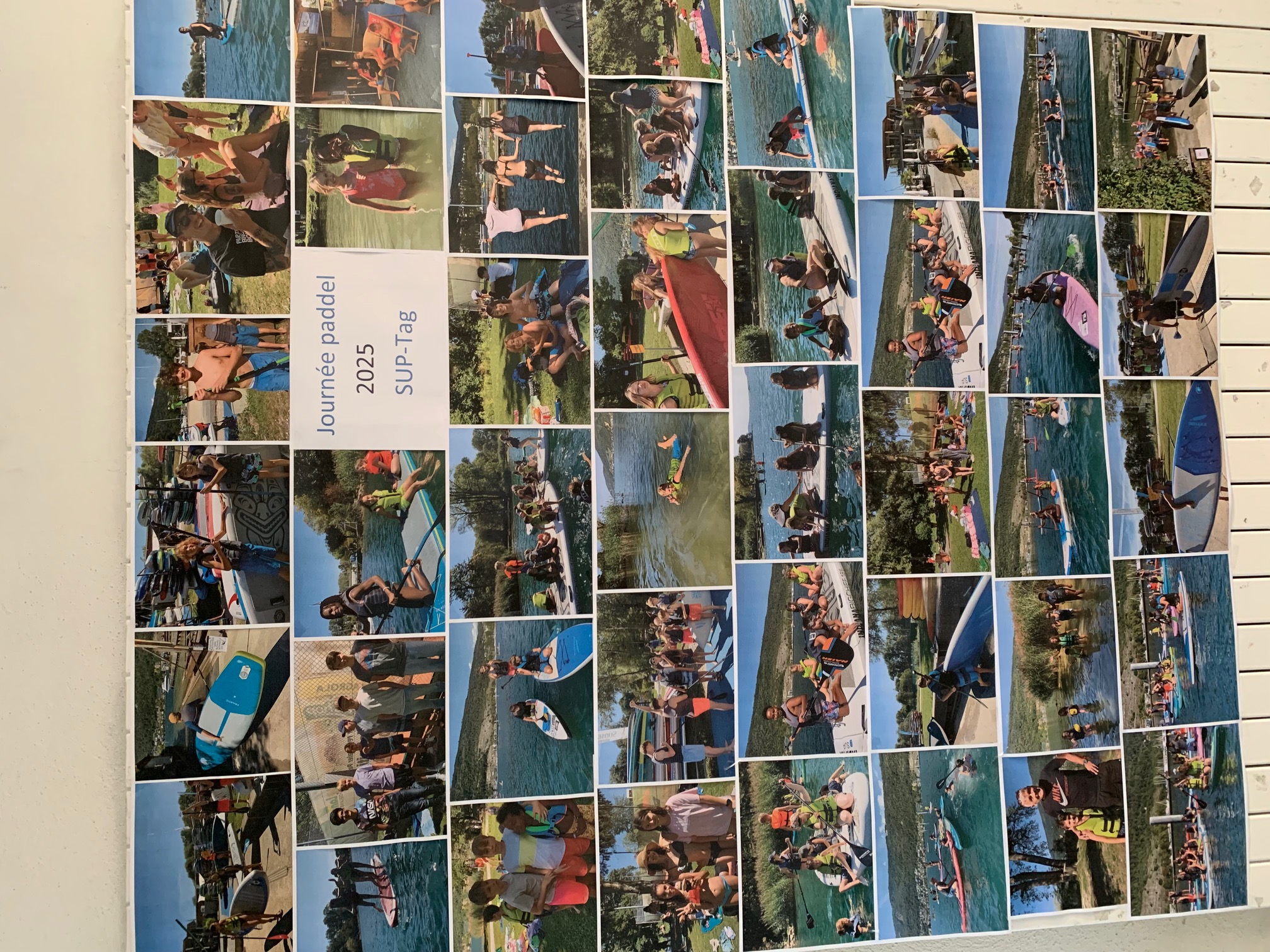 IMG 0548