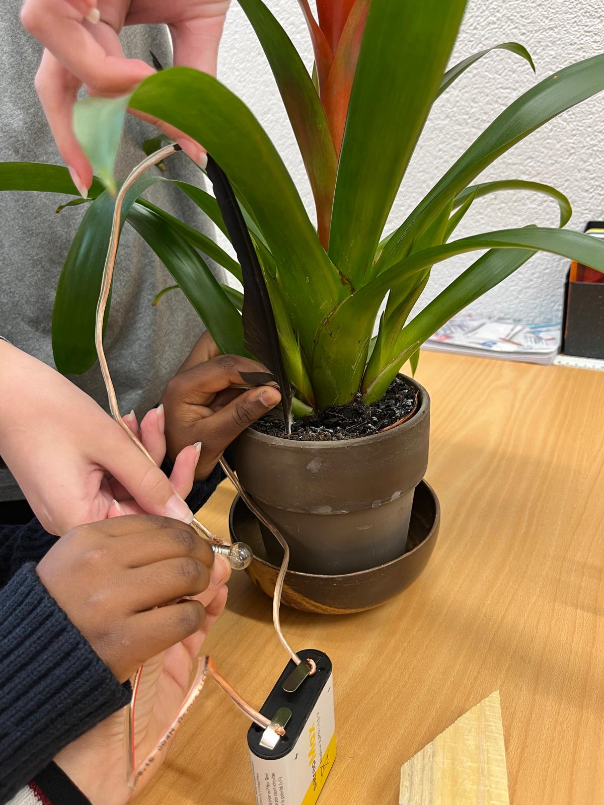 b84a7f6f ea82 4c37 8767 ca8ad5e503ab